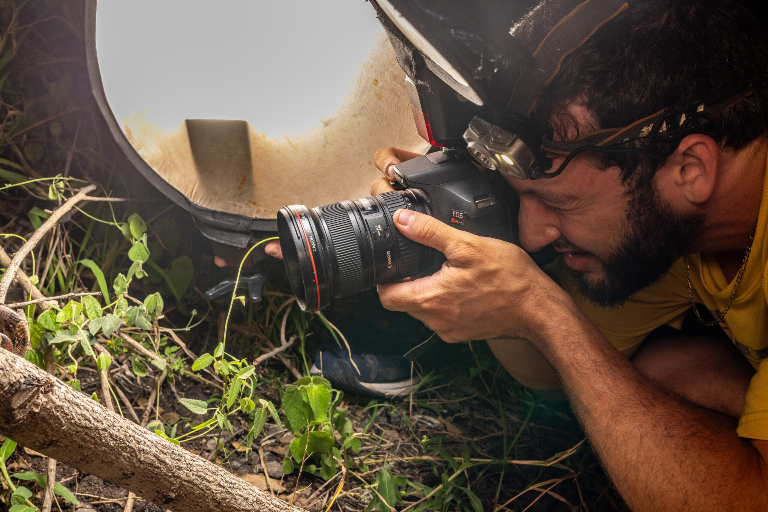 Expedition photo 4